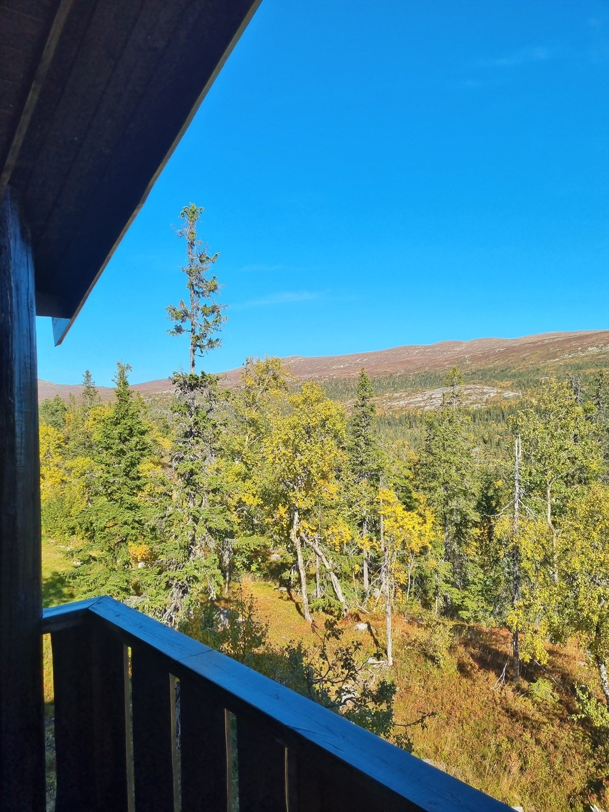 Her kan du nyte vidstrakt utsikt. Galleribilde