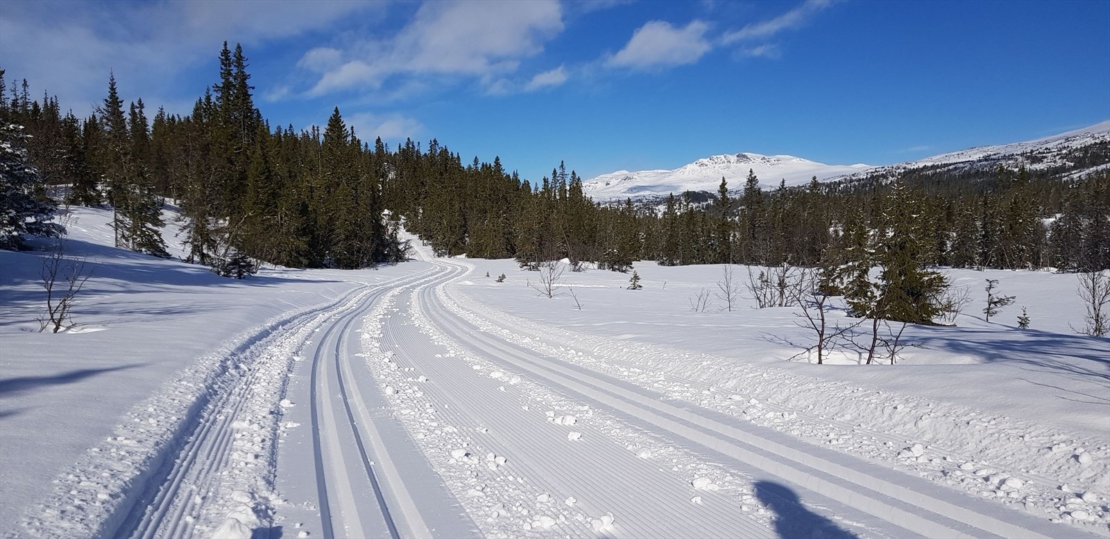 Fra hytta er det umiddelbar nærhet til flotte preparerte langrennsløyper! Bildet tilhører selger. Galleribilde