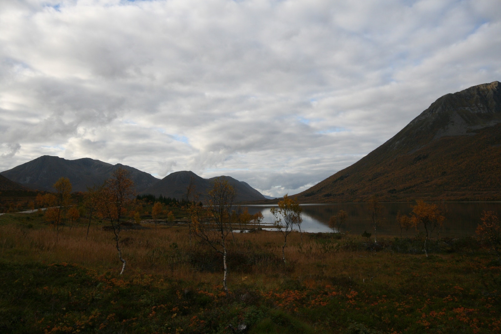 Bilde fra tomten Galleribilde