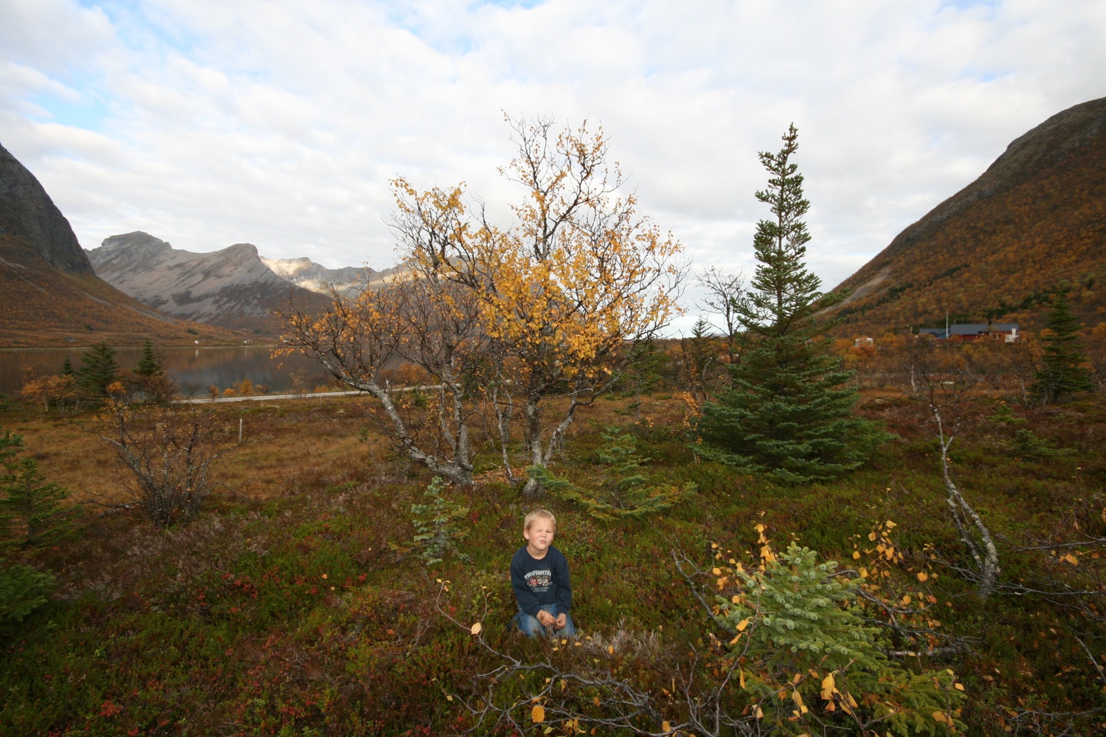 Bilde fra tomten Galleribilde