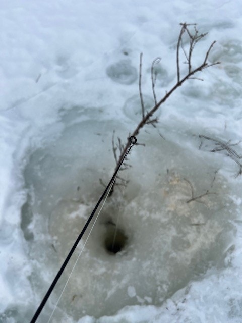 Vinteraktivitet Galleribilde