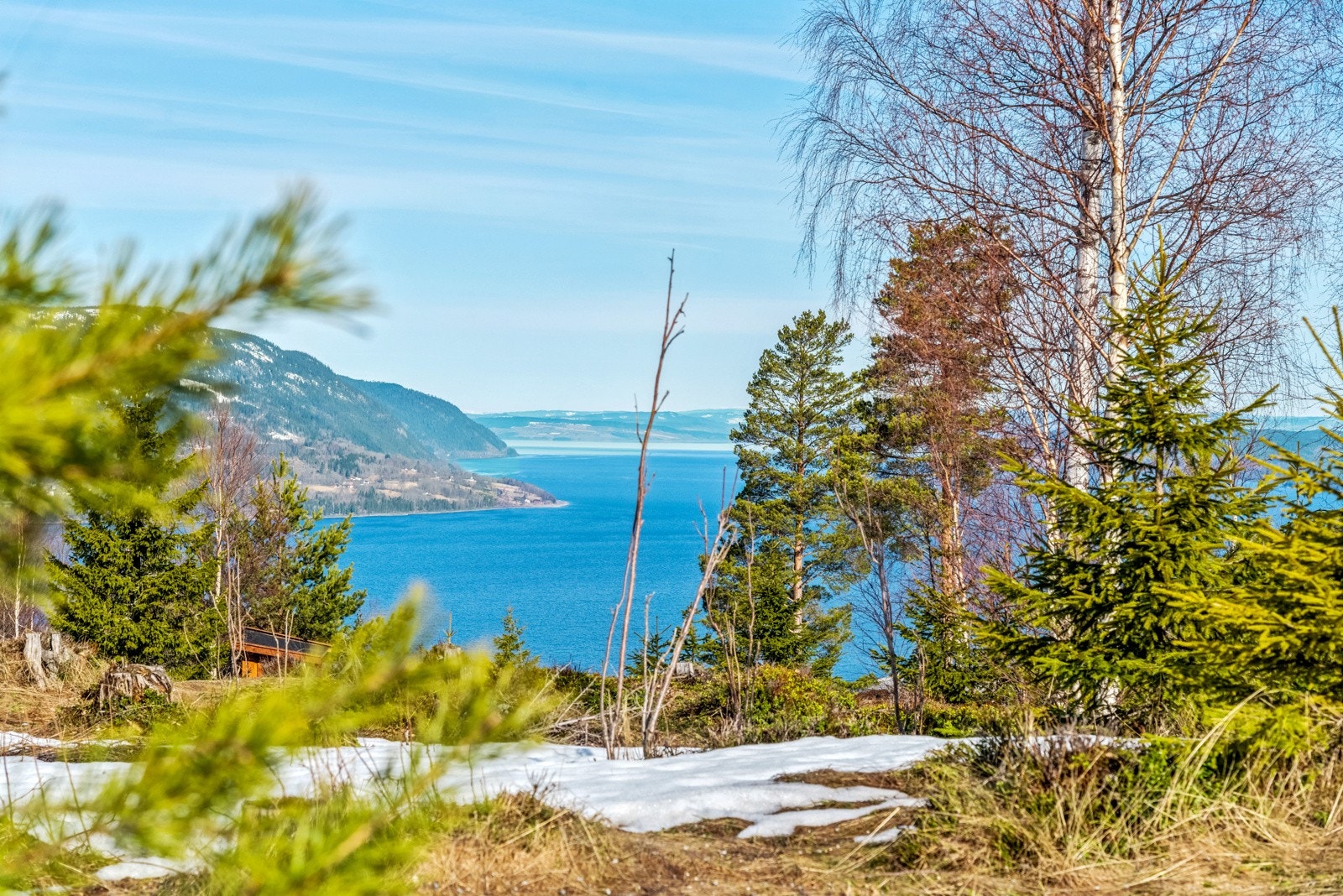 Sjekk utsikten! Galleribilde
