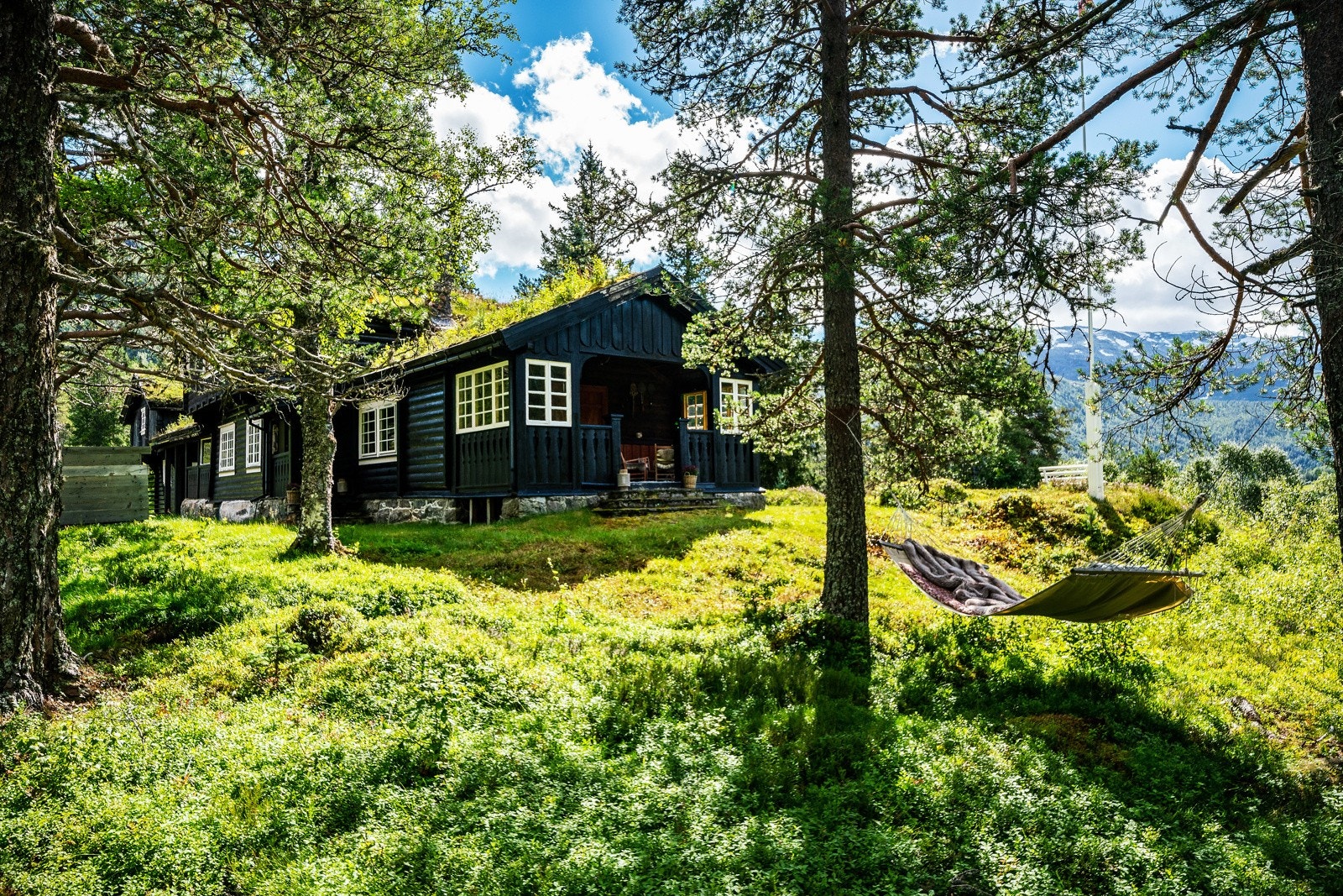 I hengekøyen kan man ligge å slappe av mens man hører på dyrelivet i skogen. Galleribilde
