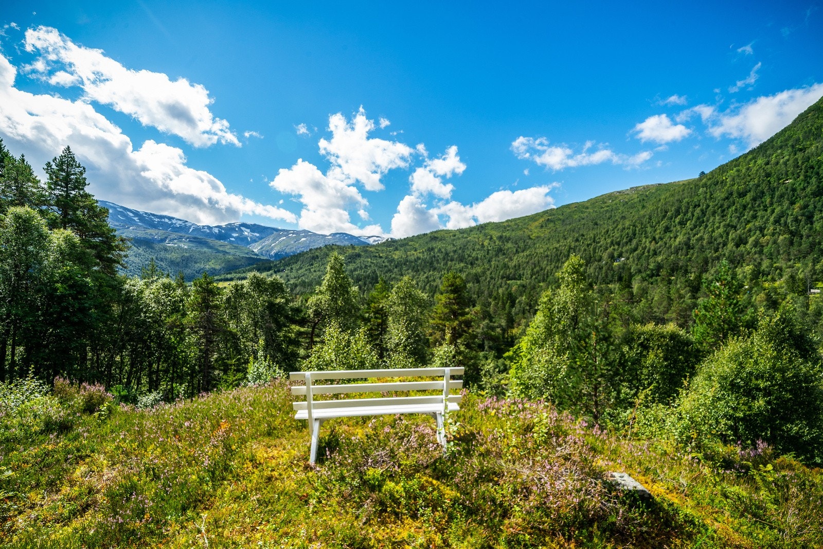 Fra benken har man storslagen utsikt nedover dalen og til fjellene rundt Galleribilde