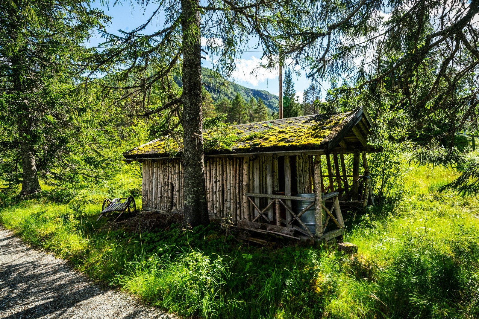 Vedskjul Galleribilde