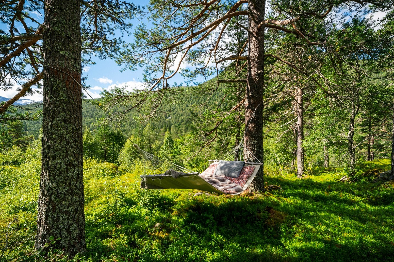 I hengekøyen kan man ligge og nyte natures ro Galleribilde