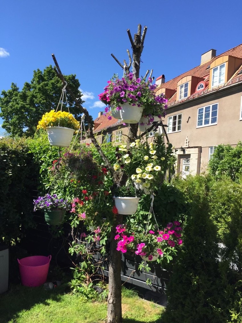Sommeridyll | Selgers eget bilde. Galleribilde
