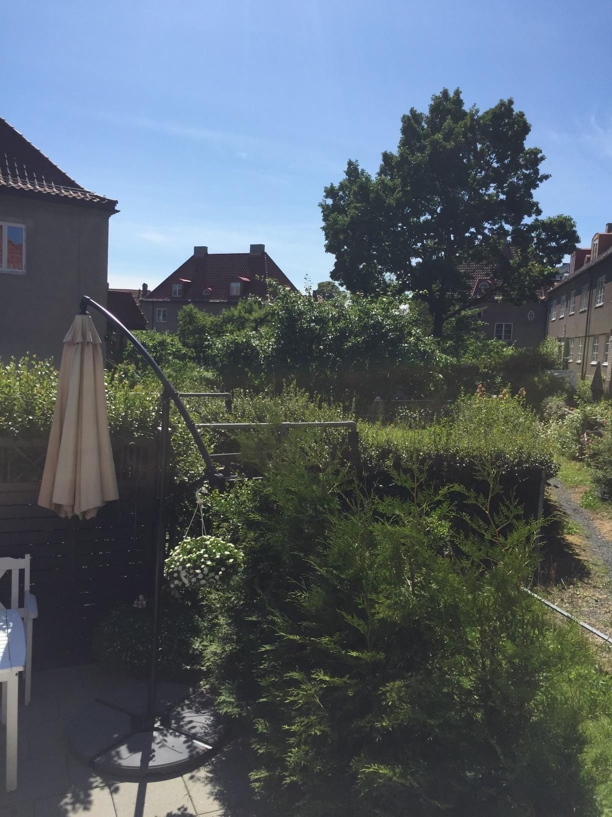 Sommeridyll | Selgers eget bilde. Galleribilde