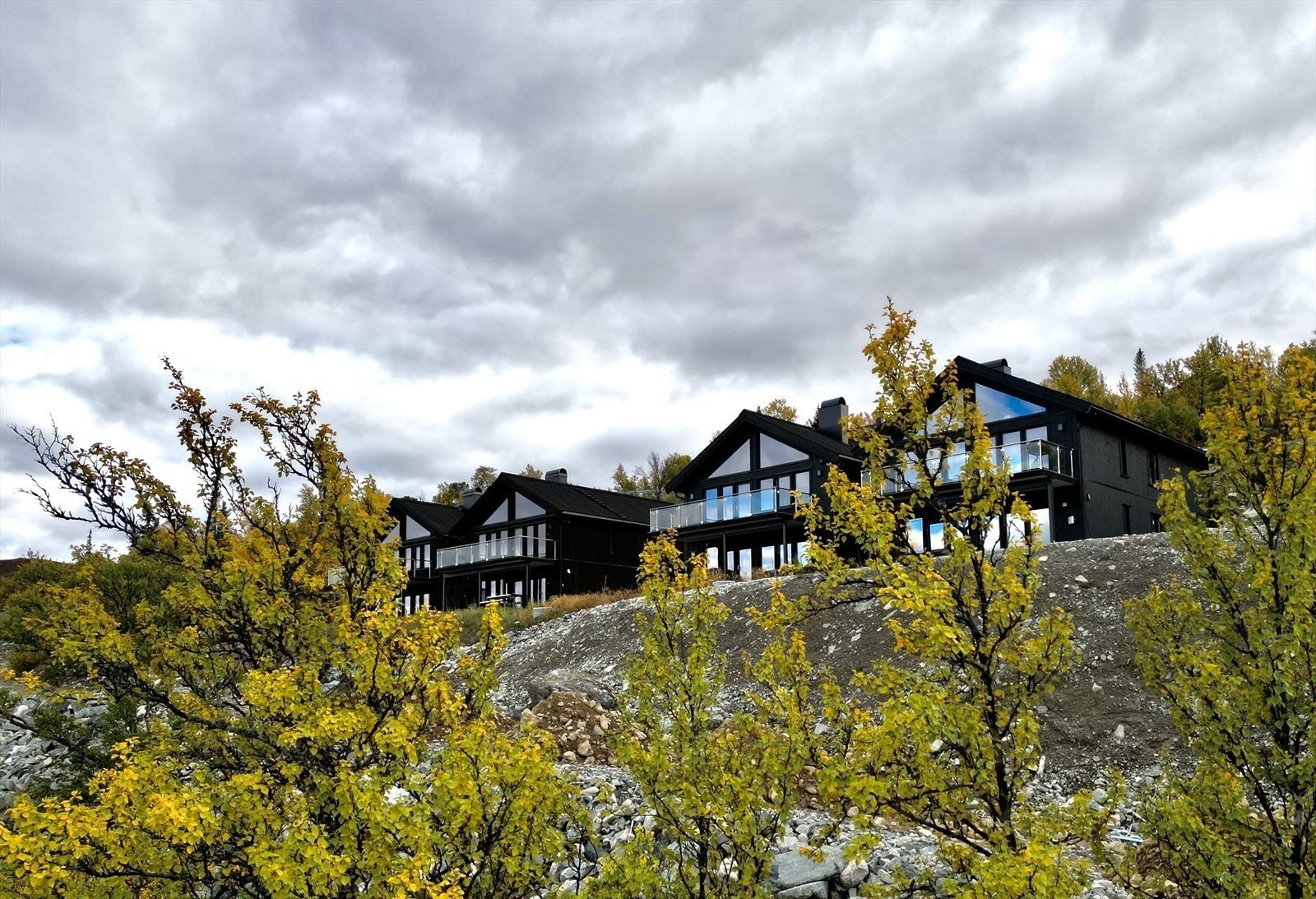 Sommertid Galleribilde