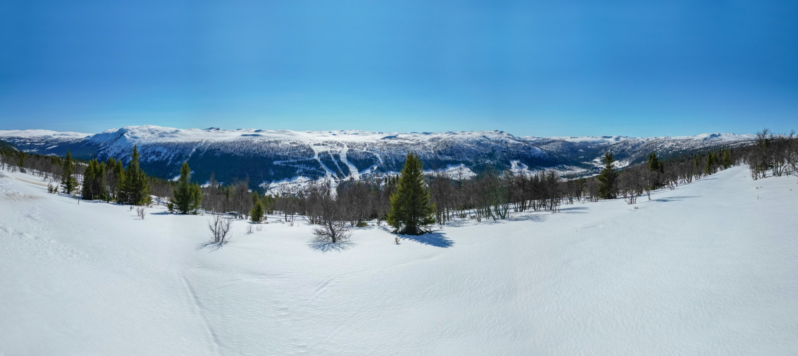Panorama Galleribilde