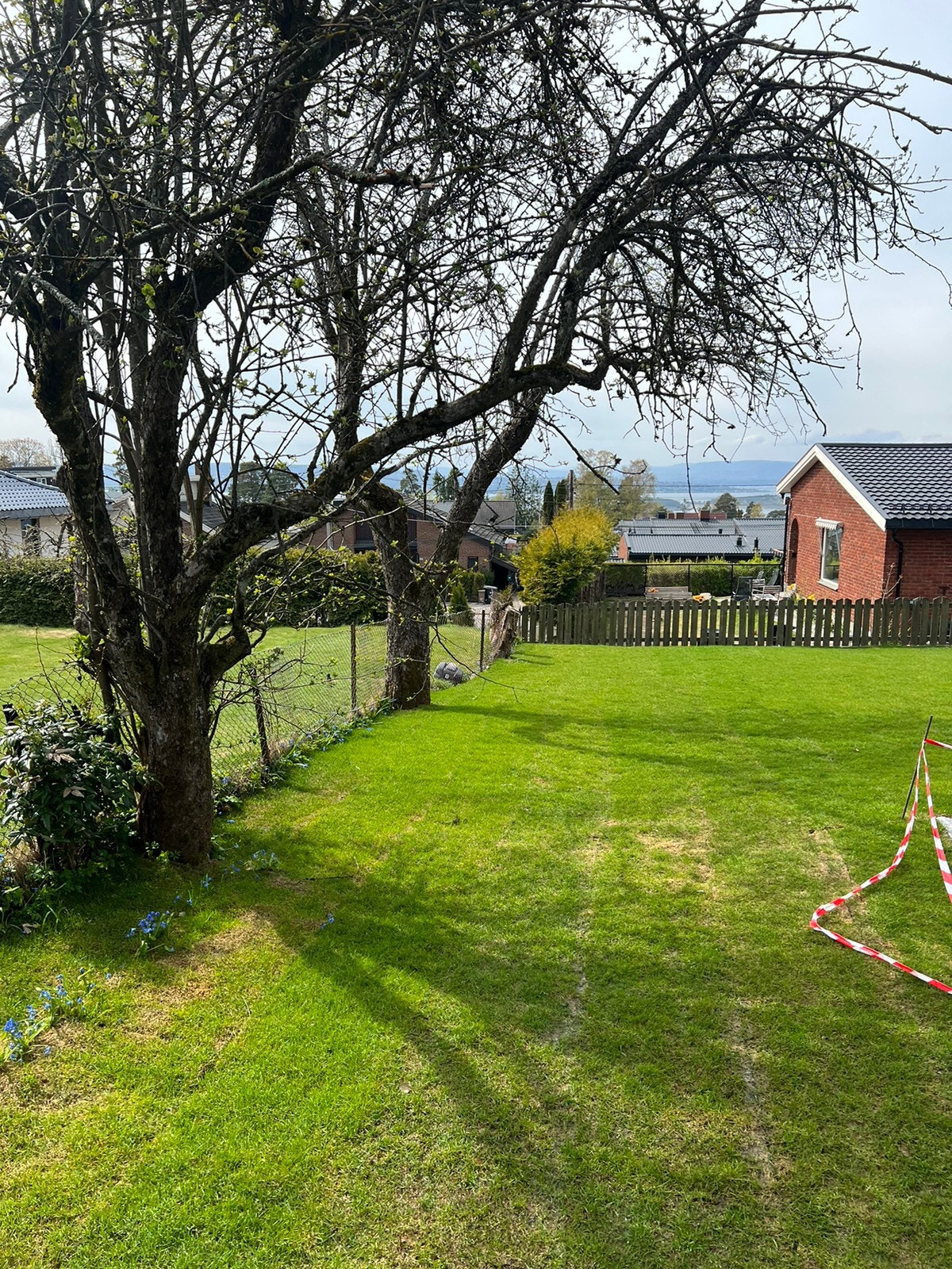 Trivelige og grønne omgivelser Galleribilde