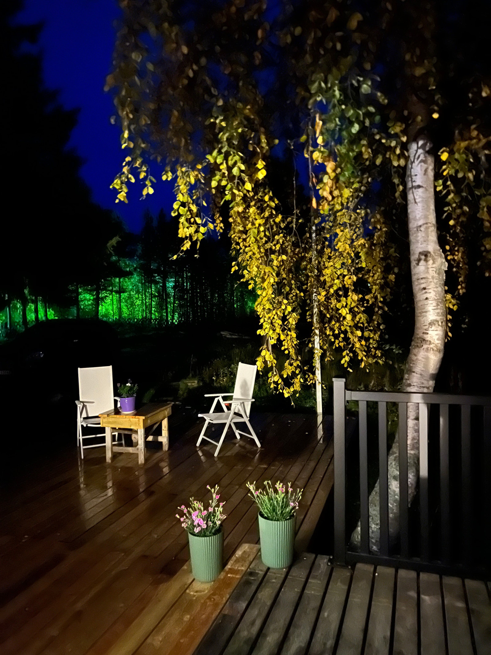 Kveldsstemning Galleribilde