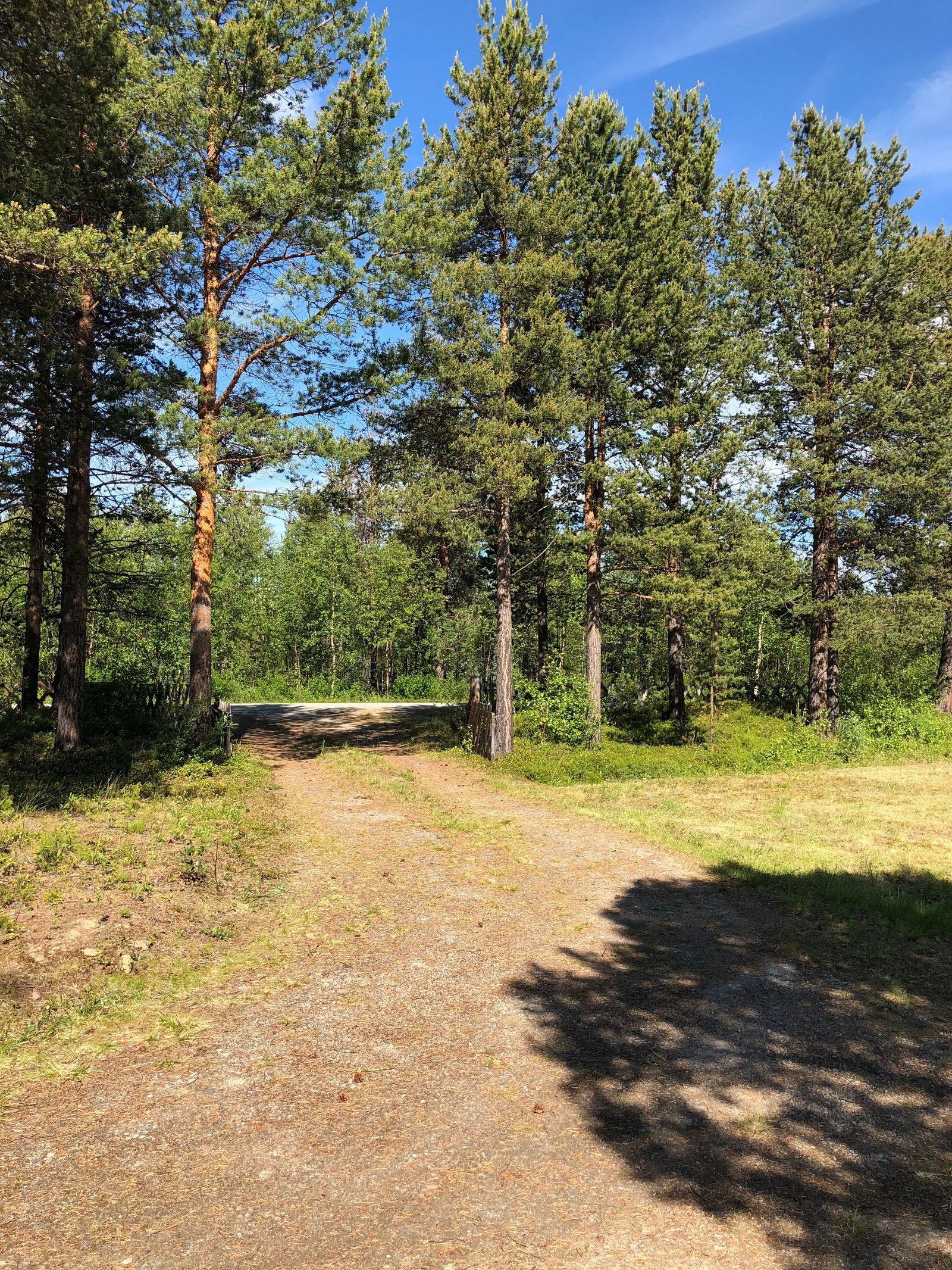 Innkjøring Galleribilde