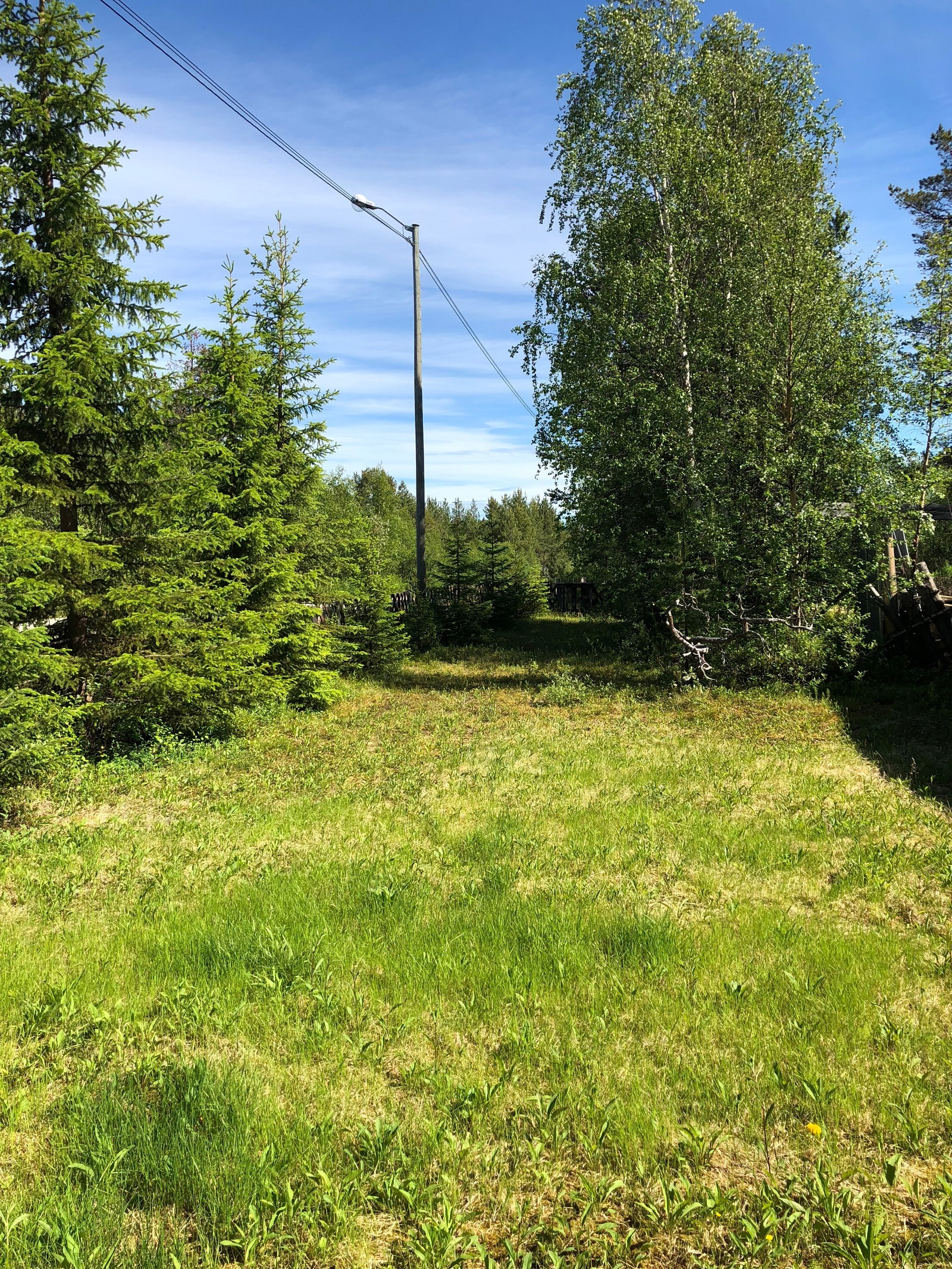 Tomt bak uthus, ved vei Galleribilde