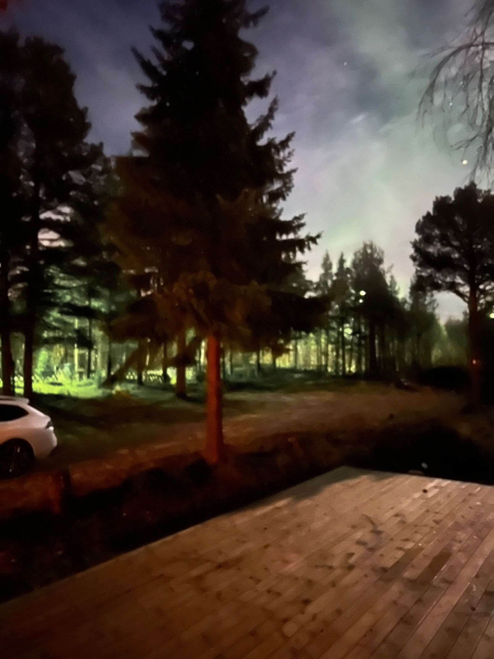 Kveldsstemning Galleribilde