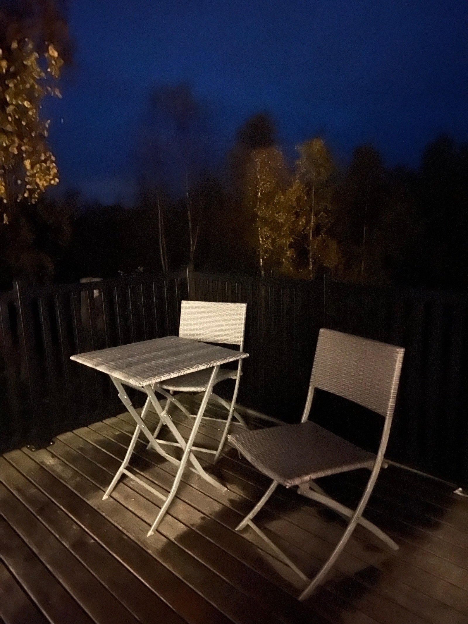 Kveldsstemning Galleribilde