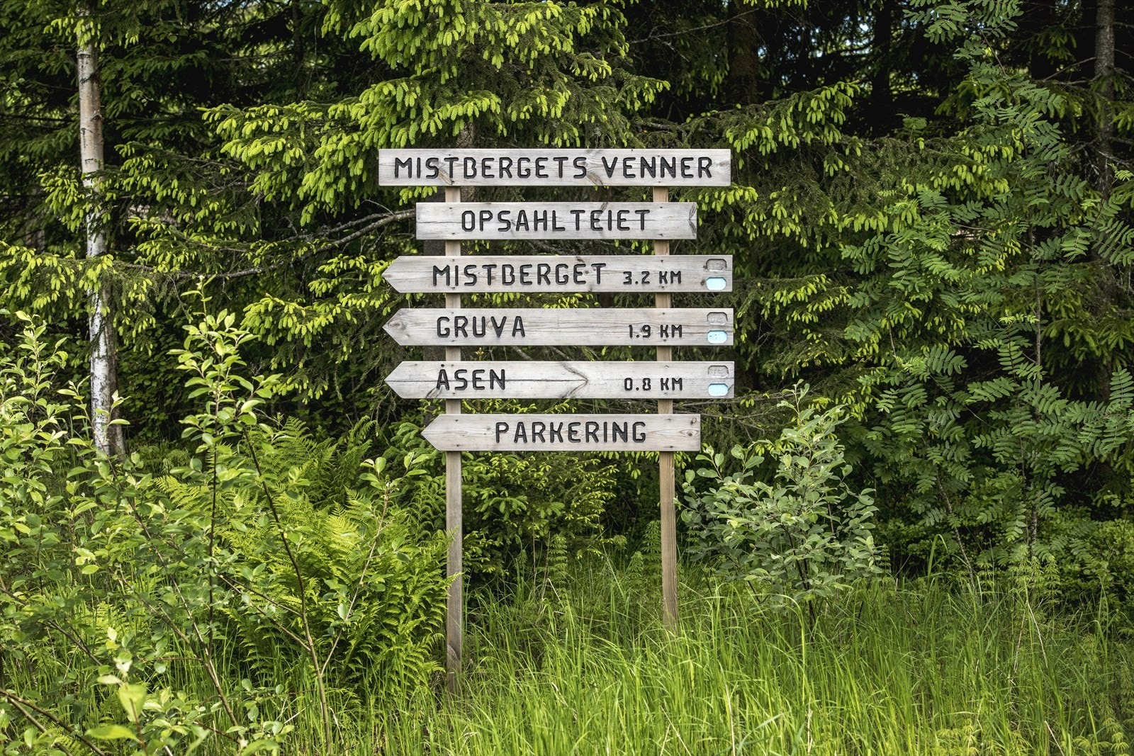 Mange muligheter for å komme seg ut i det fri. Galleribilde