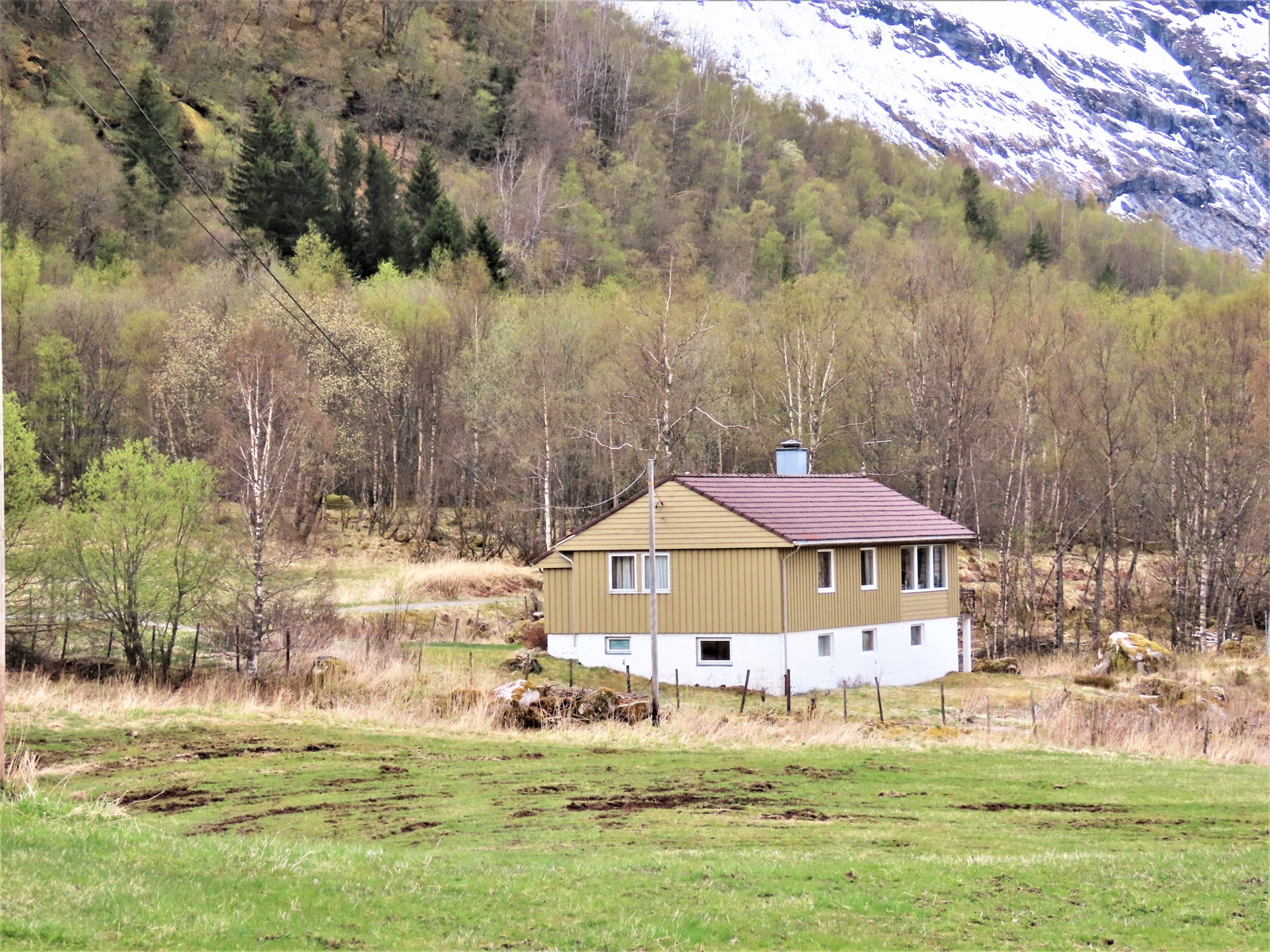 Bolig med omgivelser Galleribilde