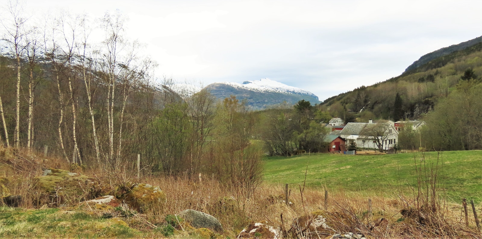 Utsikt fra tomt Galleribilde