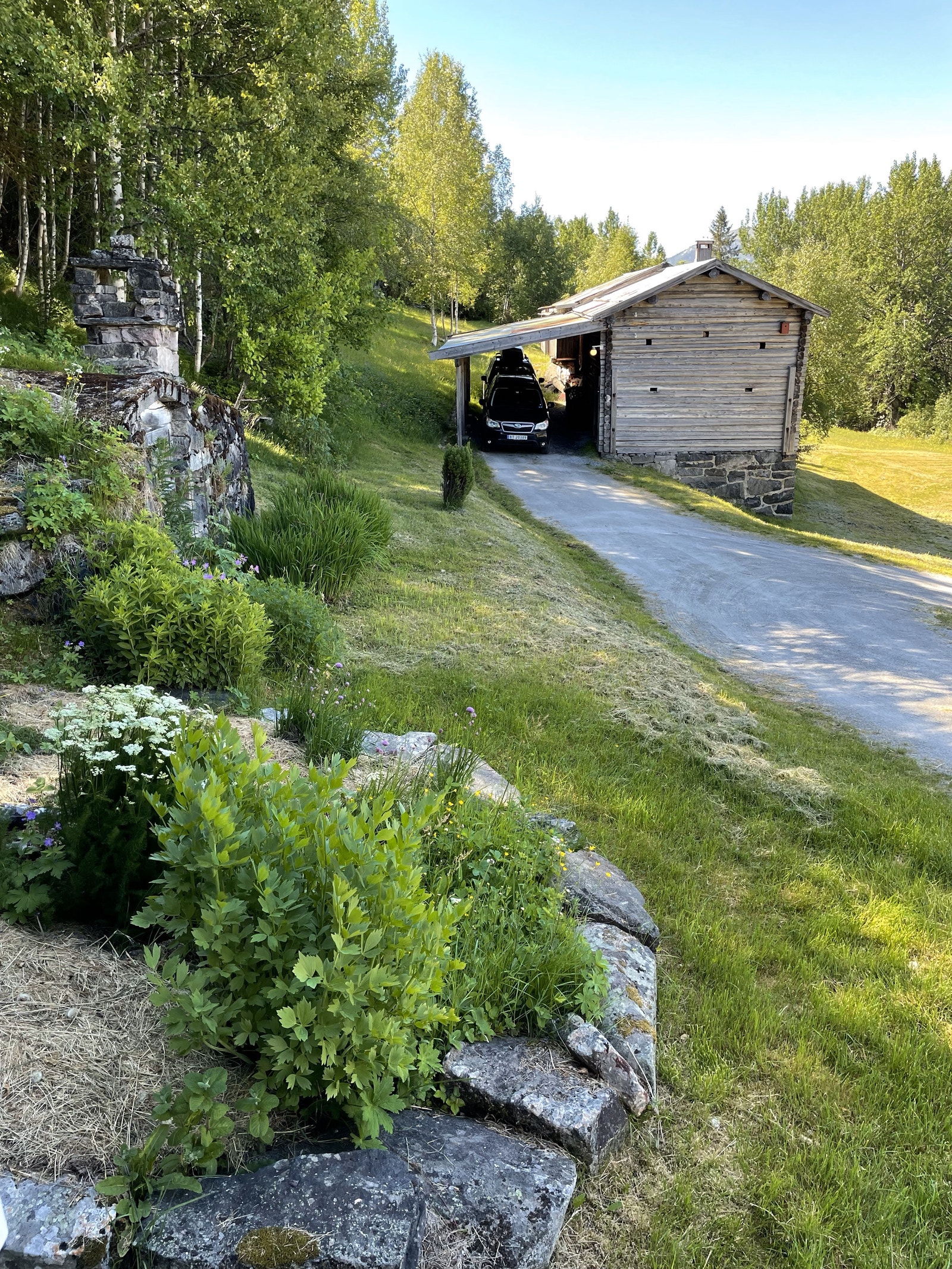 Bergskog gård Galleribilde