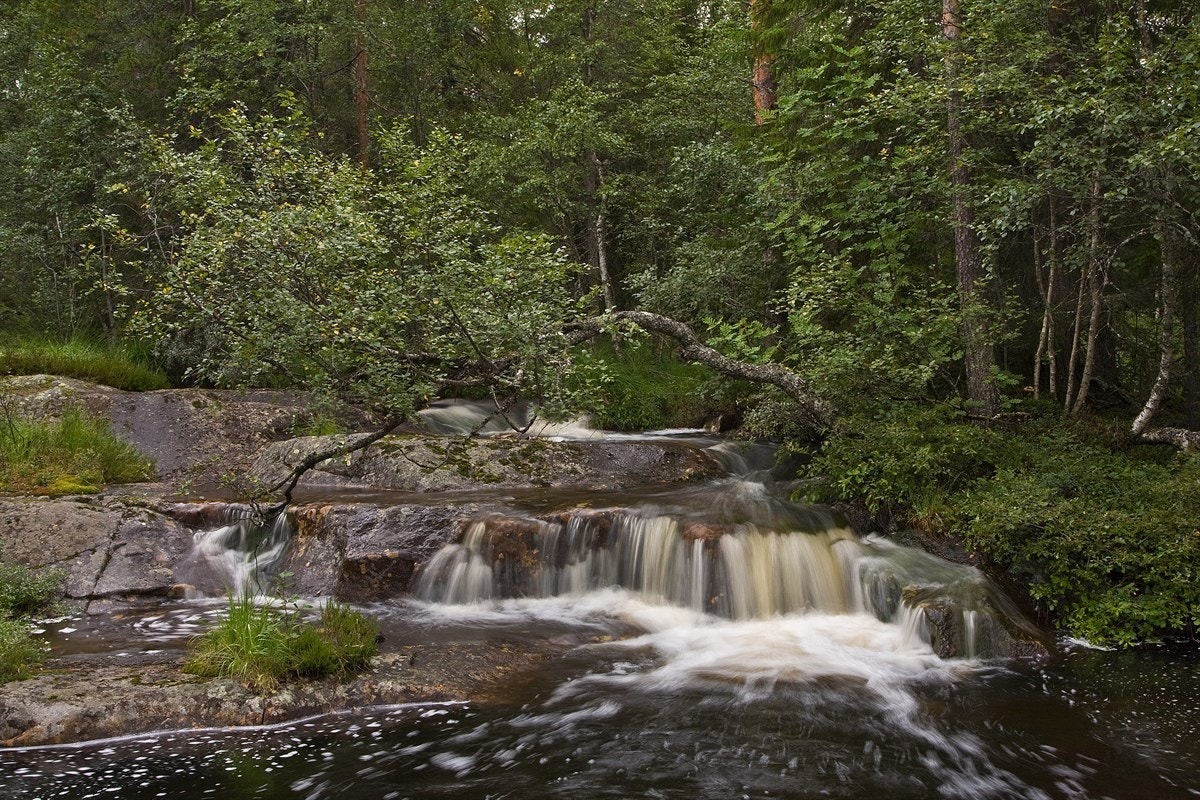 Liten elv i tomteområdet Galleribilde
