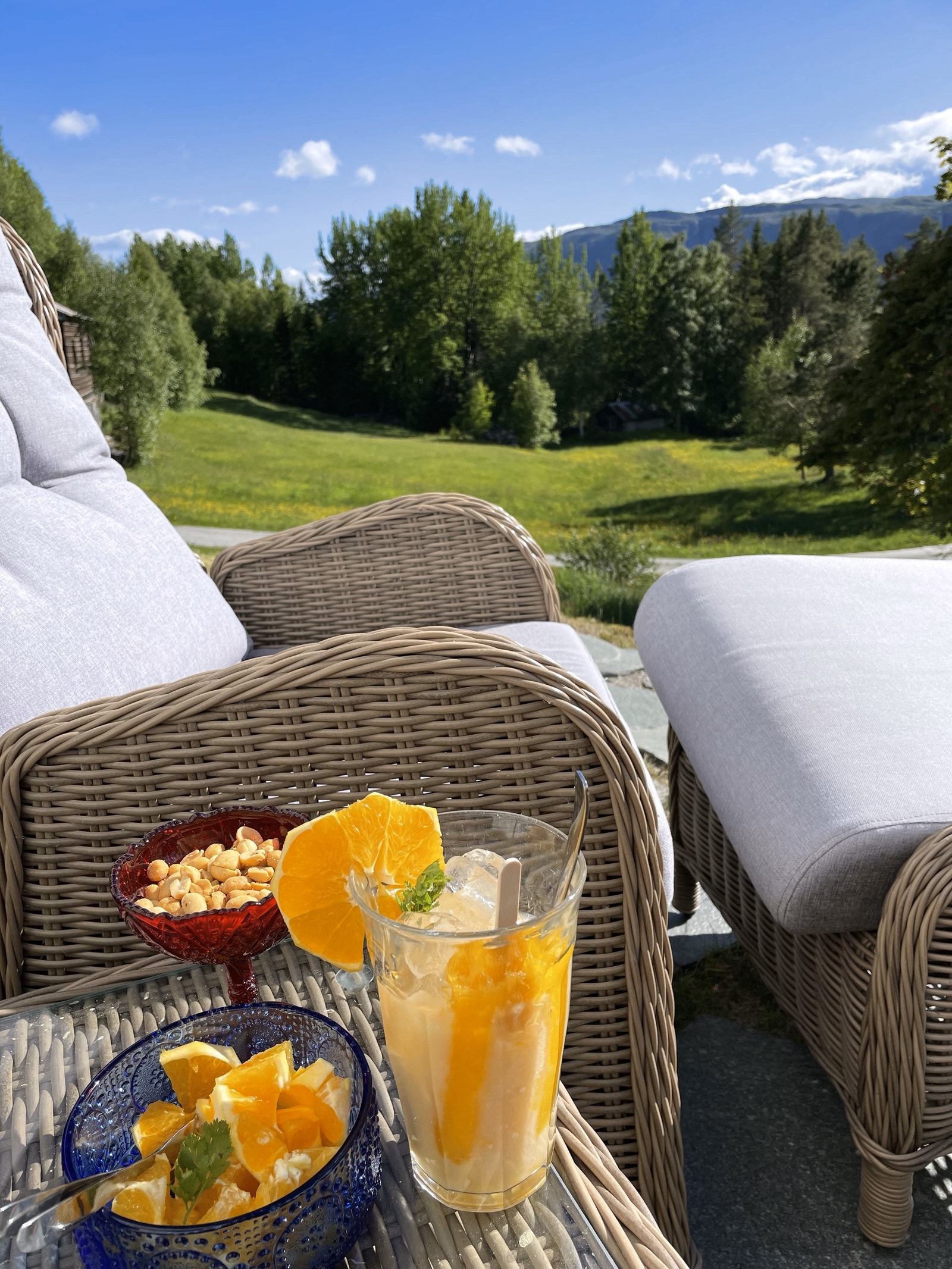 Sommer på Bergskog gård Galleribilde