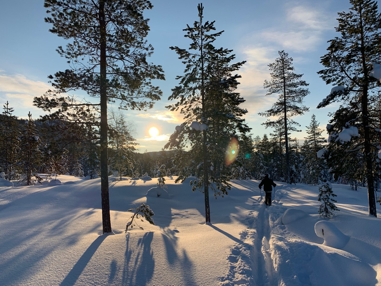 Skiterreng i nærområdet Galleribilde