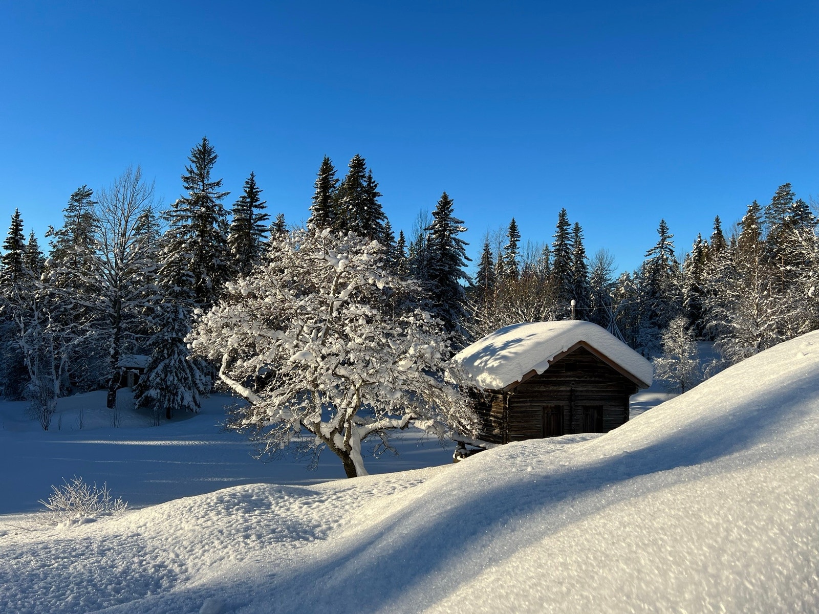 Bergskog gård Galleribilde