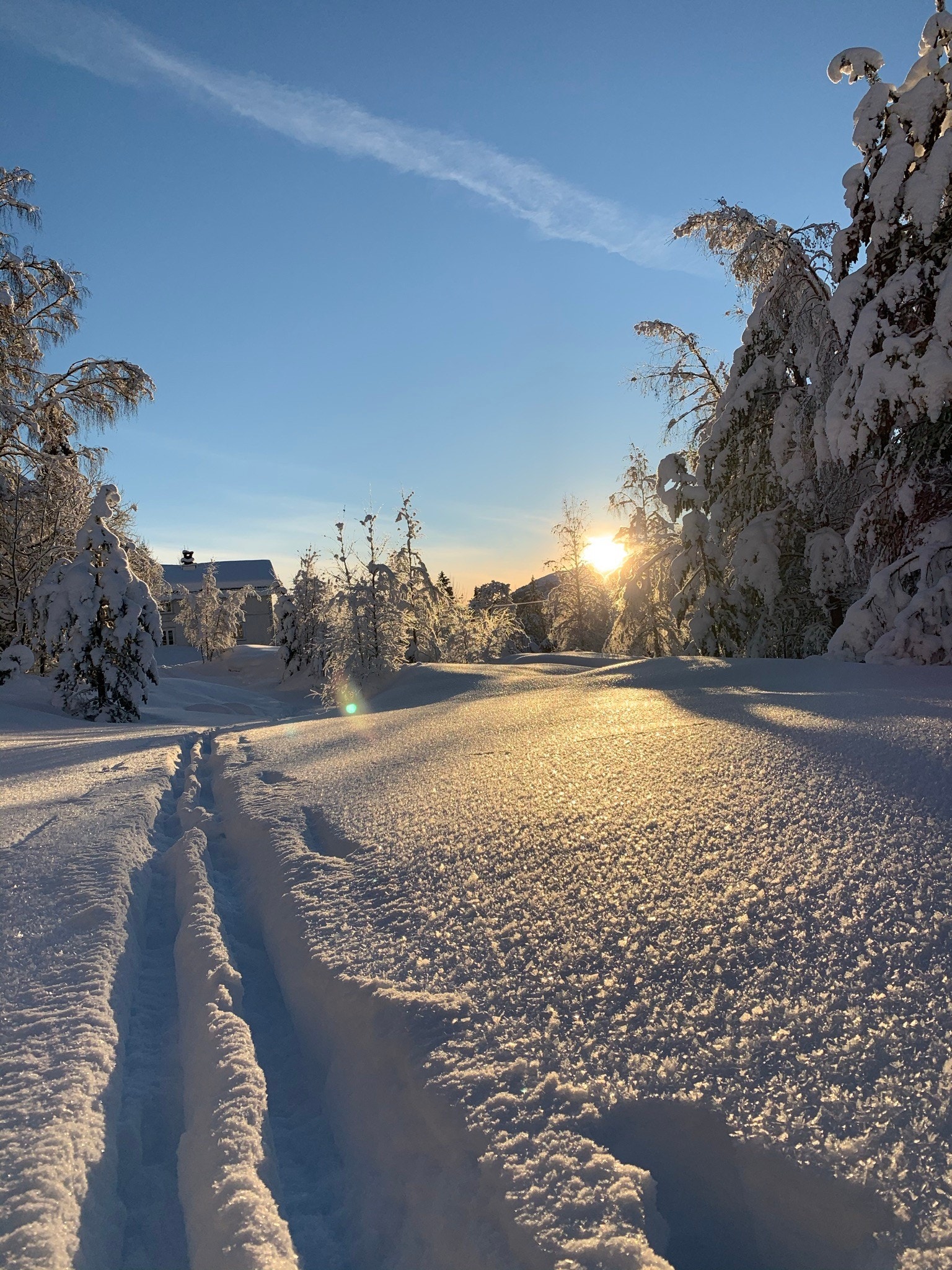Skiterreng i nærområdet Galleribilde