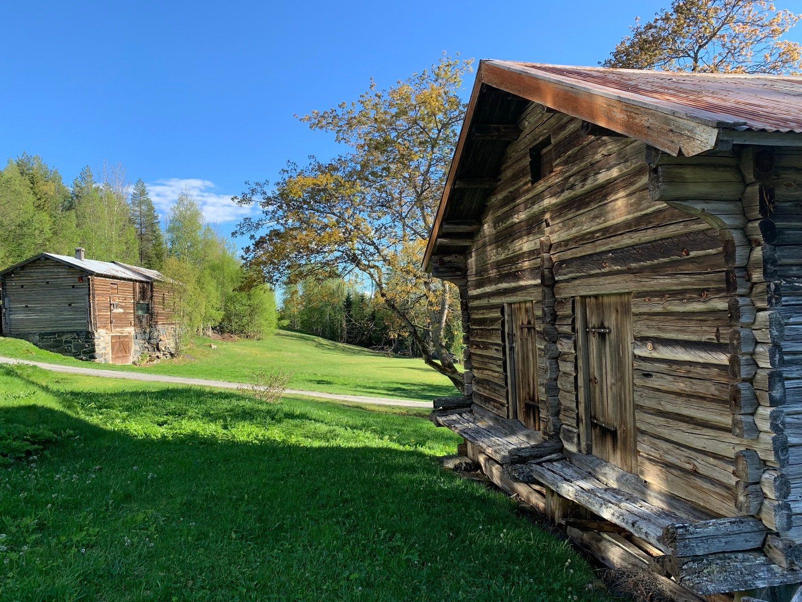 Gamle tømmerbygg - Bergskog gård Galleribilde