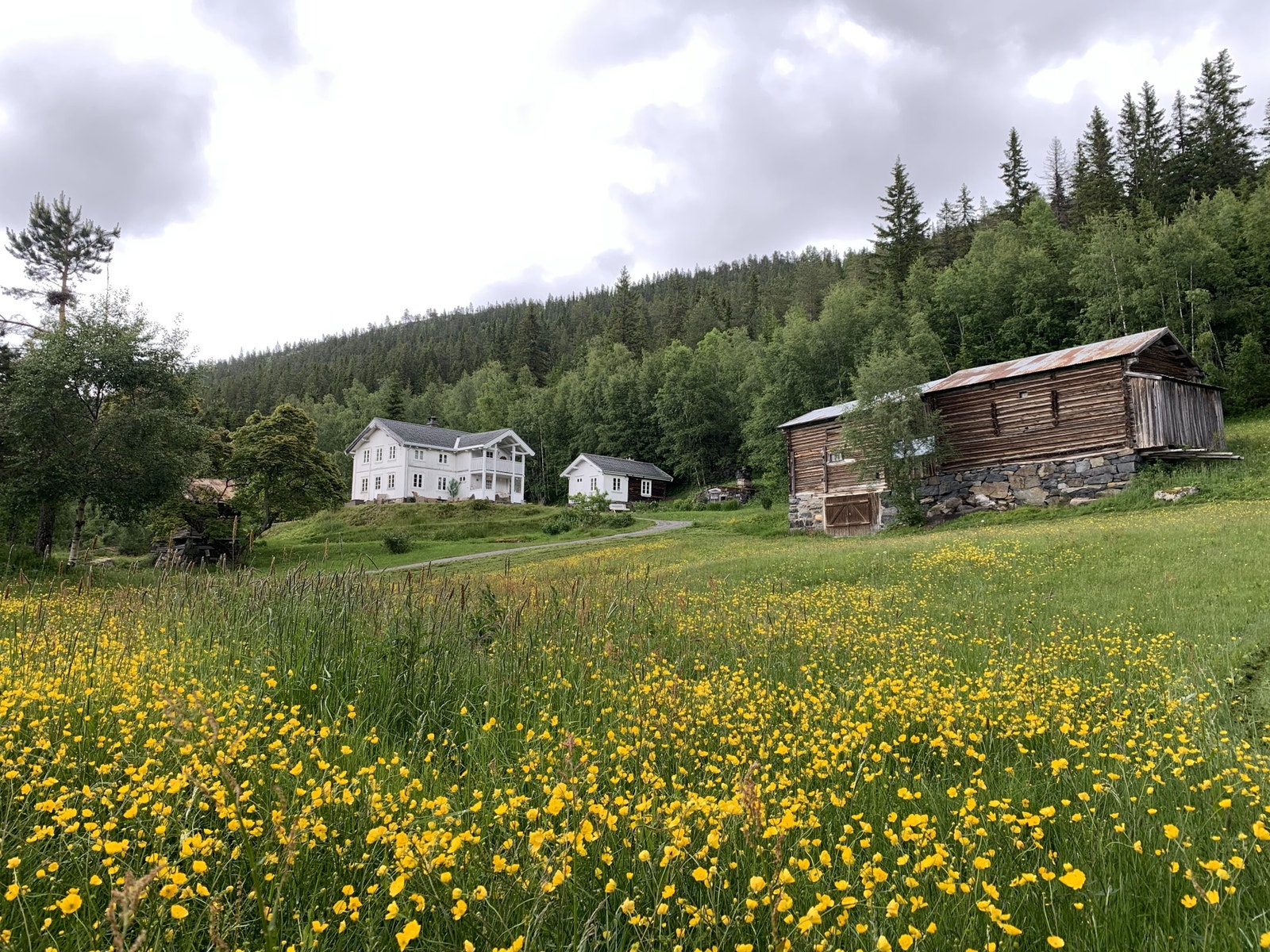 Over veien finner du naboen Bergskog gård, som tomtene er skilt ut fra. Galleribilde
