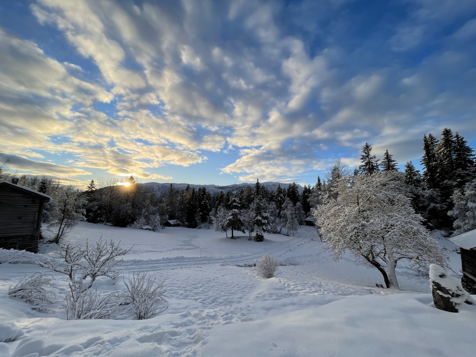 Utsikt mot tomtemrådet fra Bergskog gård Galleribilde