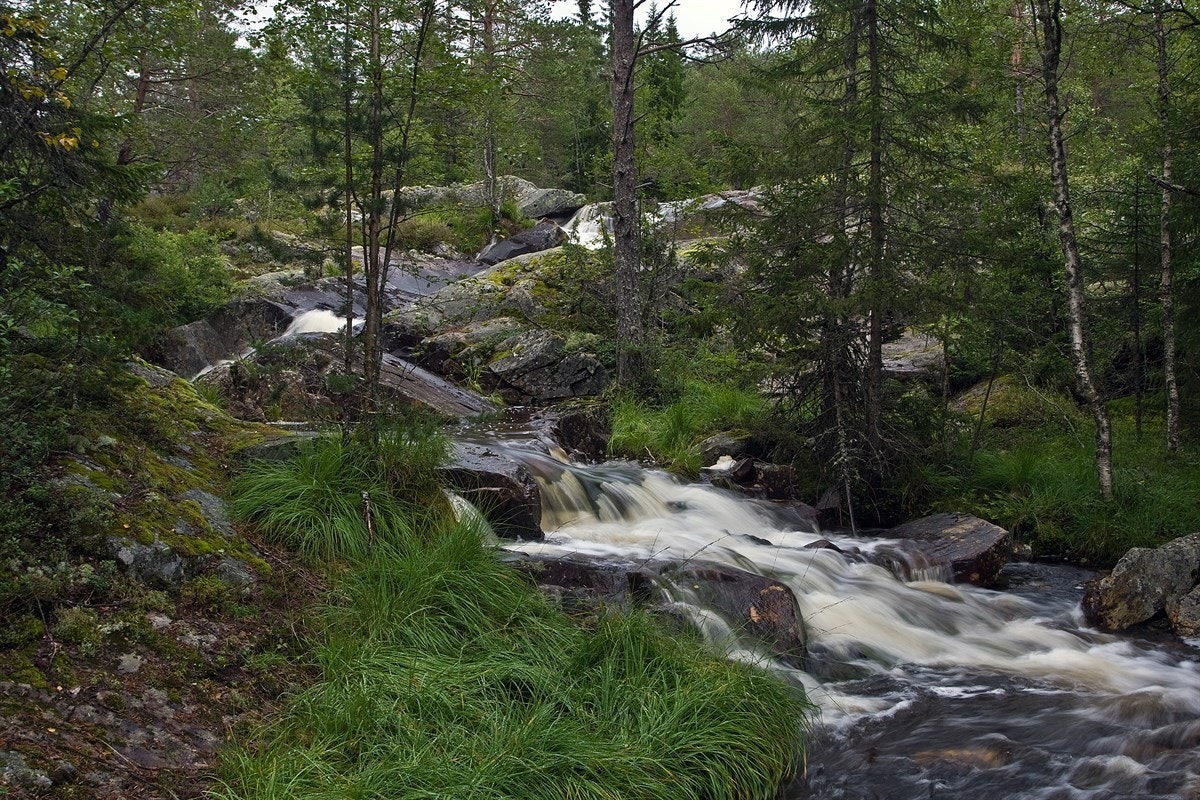 Liten elv i tomteområdet Galleribilde
