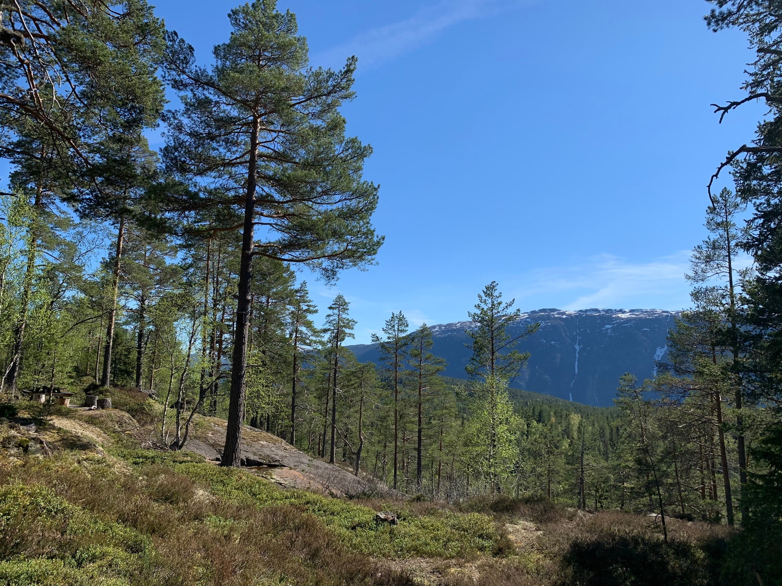 Eksempel: Utsikt fra tomt 2 Galleribilde