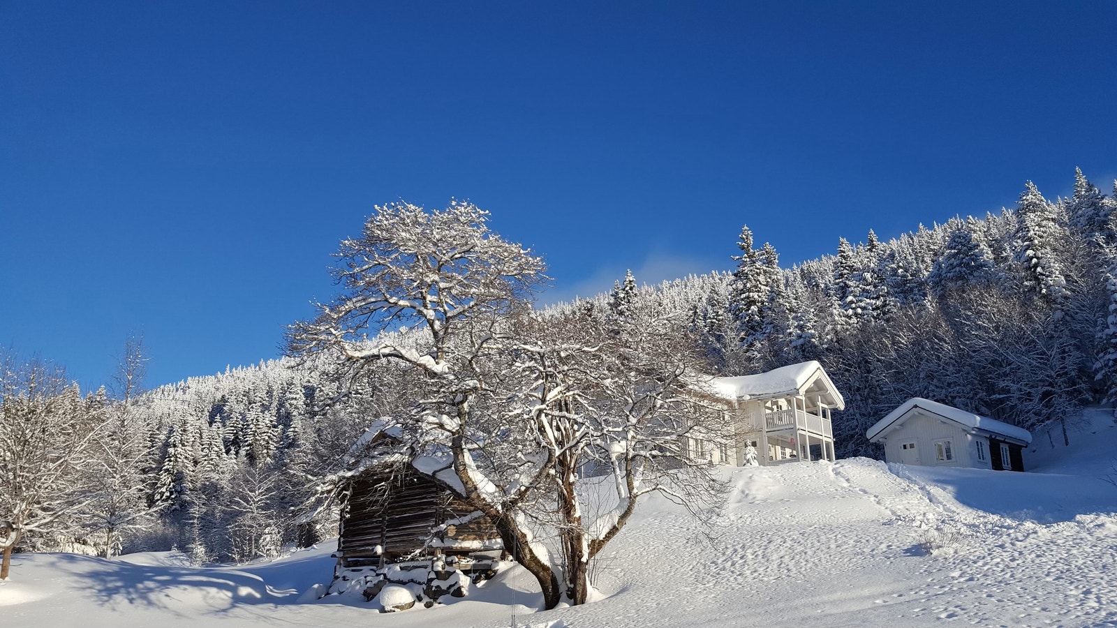 Bergskog gård Galleribilde