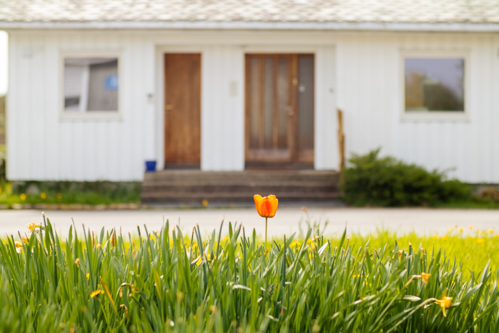 Velkommen til visning Galleribilde