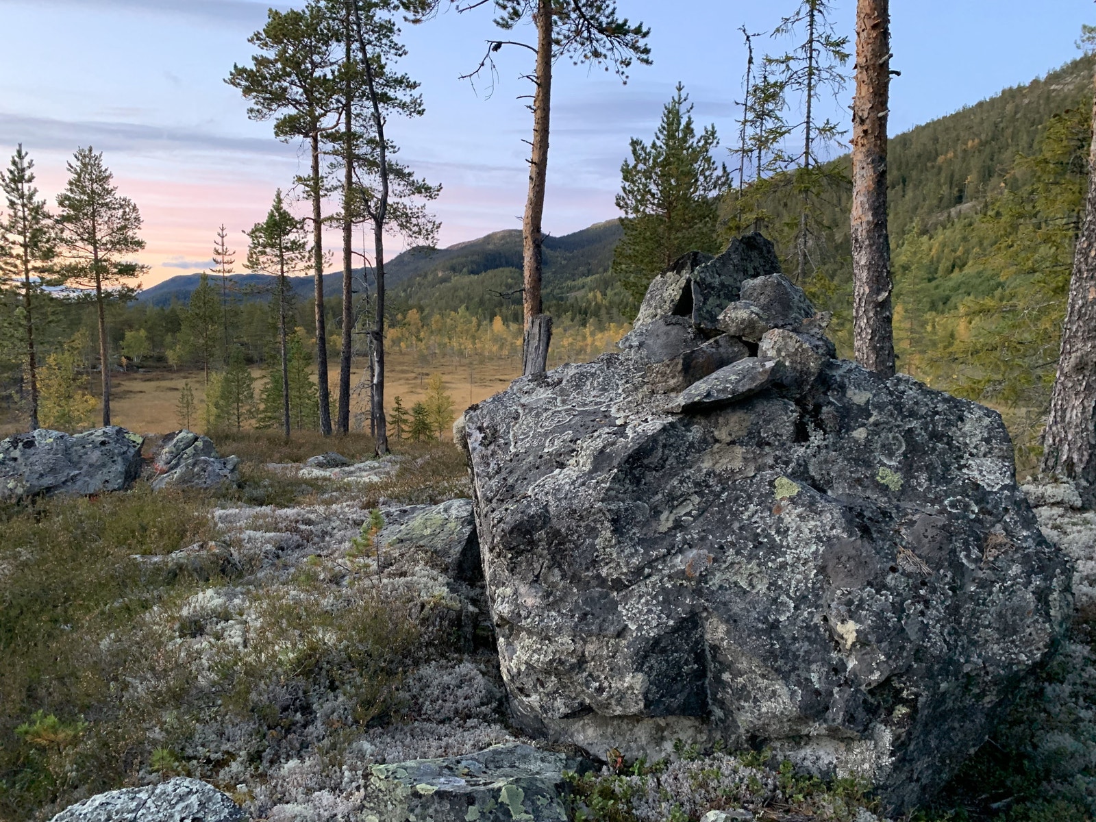 Bergskog gård, utsikt mot nord Galleribilde