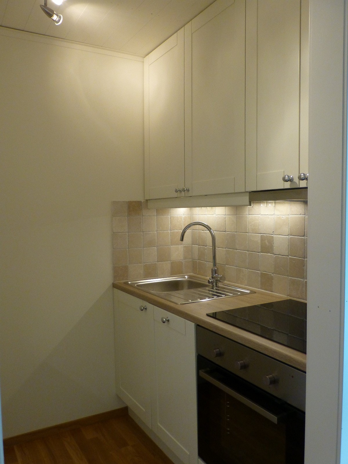 Fullt utstyrt kjøkken med oppvaskmaskin, induksjonsplater og stekeovn Galleribilde