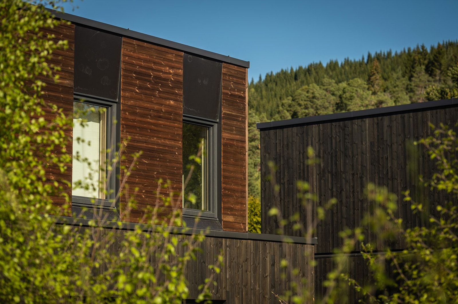 TYRI - Eksempel Galleribilde