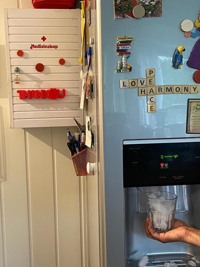 Kjøleskap med kaldtvann og is disponering Galleribilde