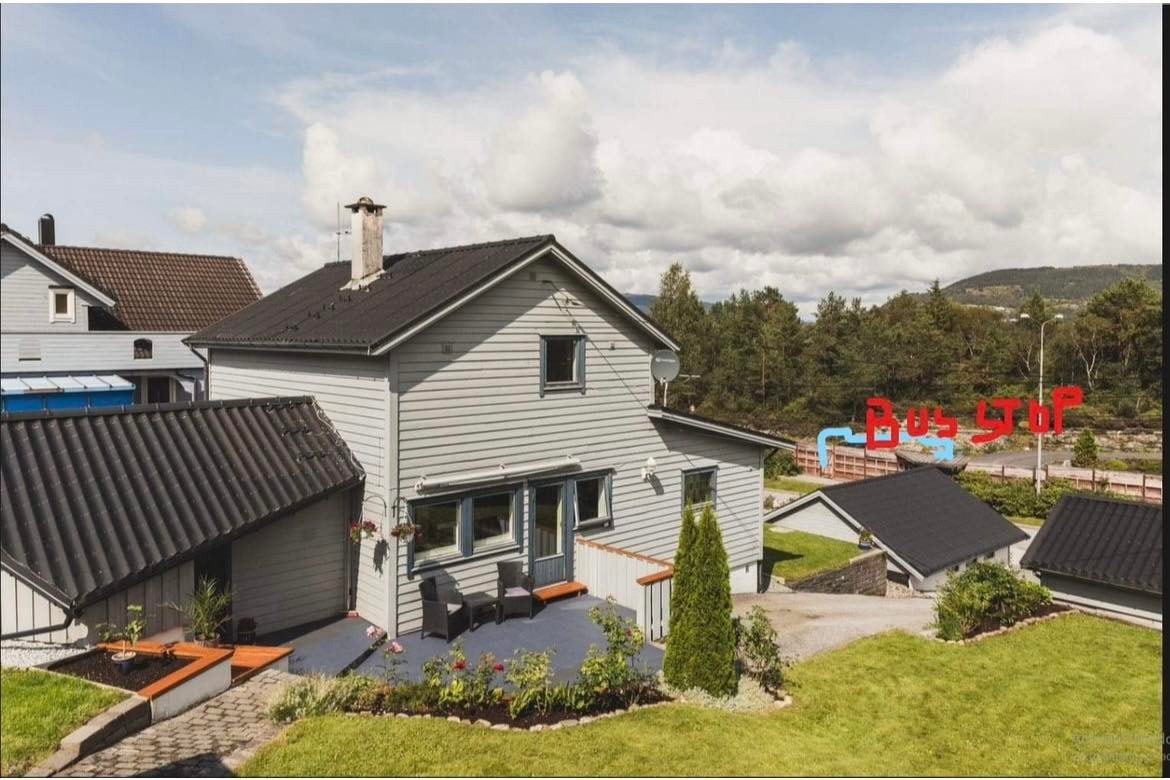 Deler av hagen Galleribilde