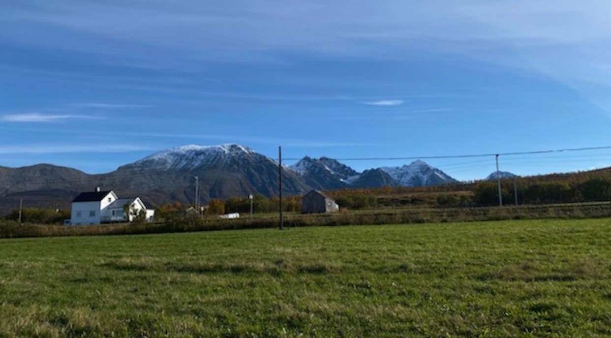 House 111/104 Galleribilde