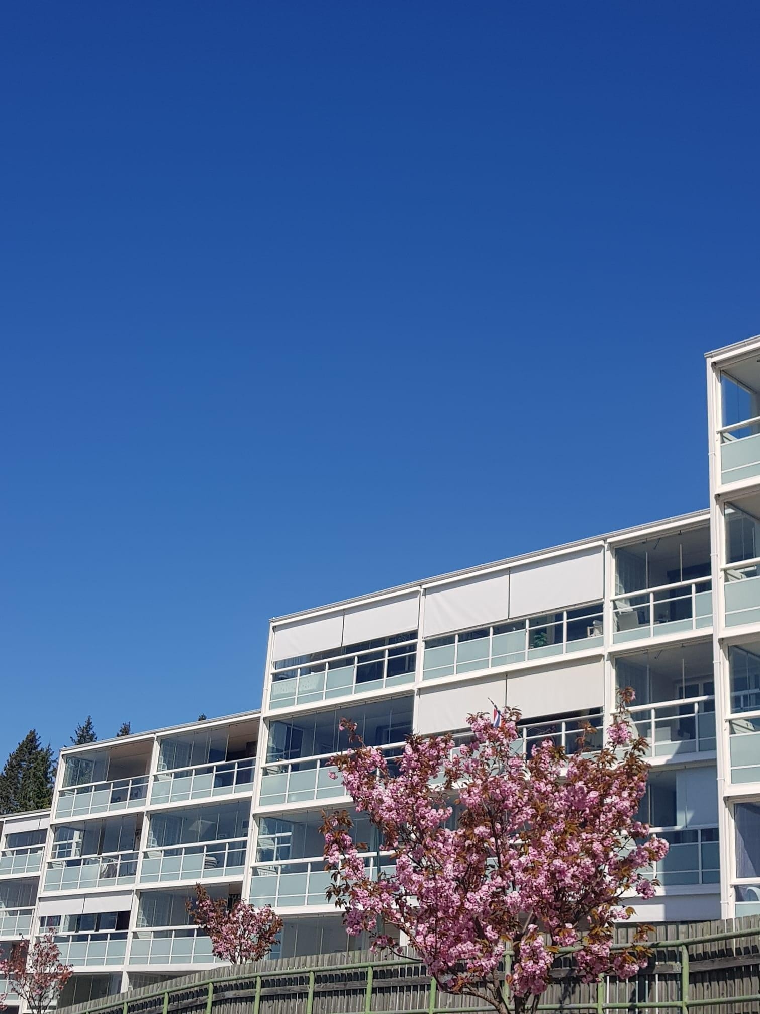 Utvendig Galleribilde