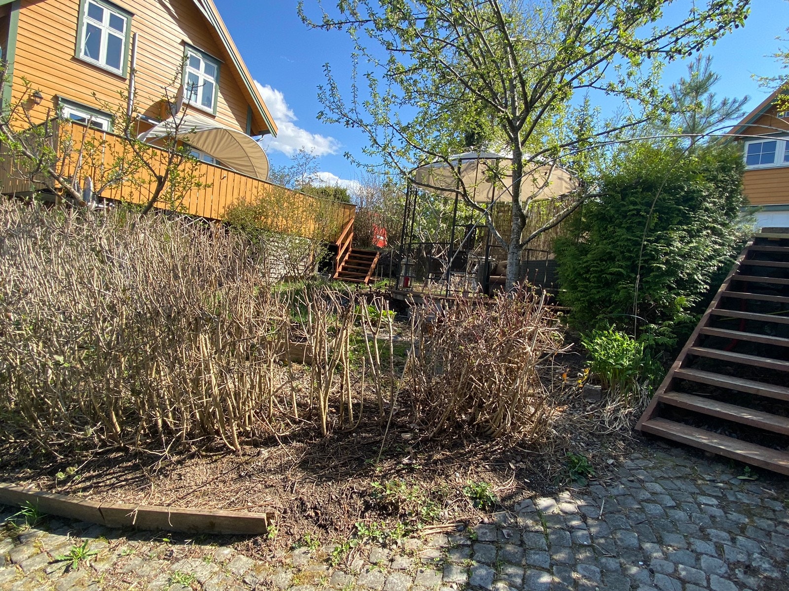 vestsiden av hagen Galleribilde