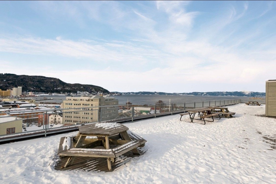 Felles takterrasse på hele 350m² med panoramautsikt over Trondheim Galleribilde