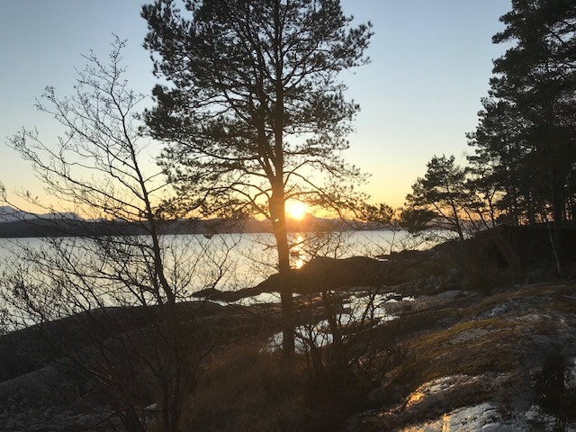 solnedgang Galleribilde