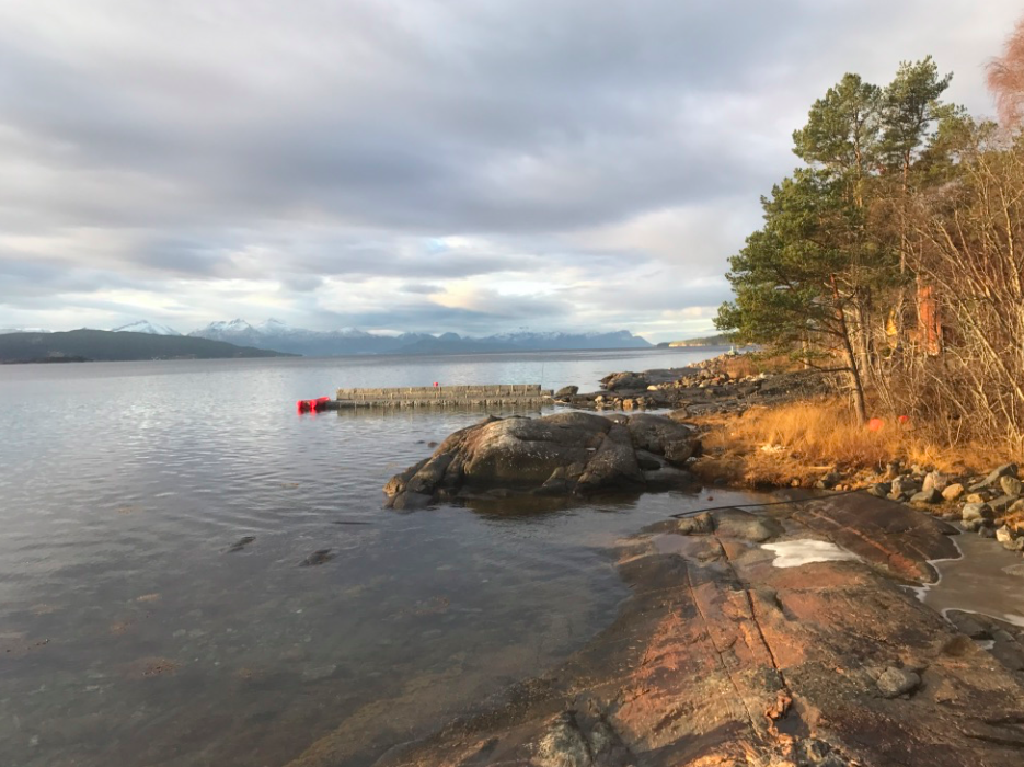 strandlinje med pir som er tatt på land Galleribilde