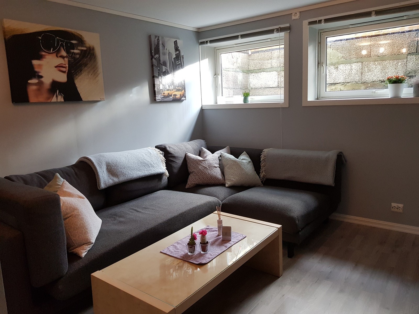Stue med sovesofa Galleribilde