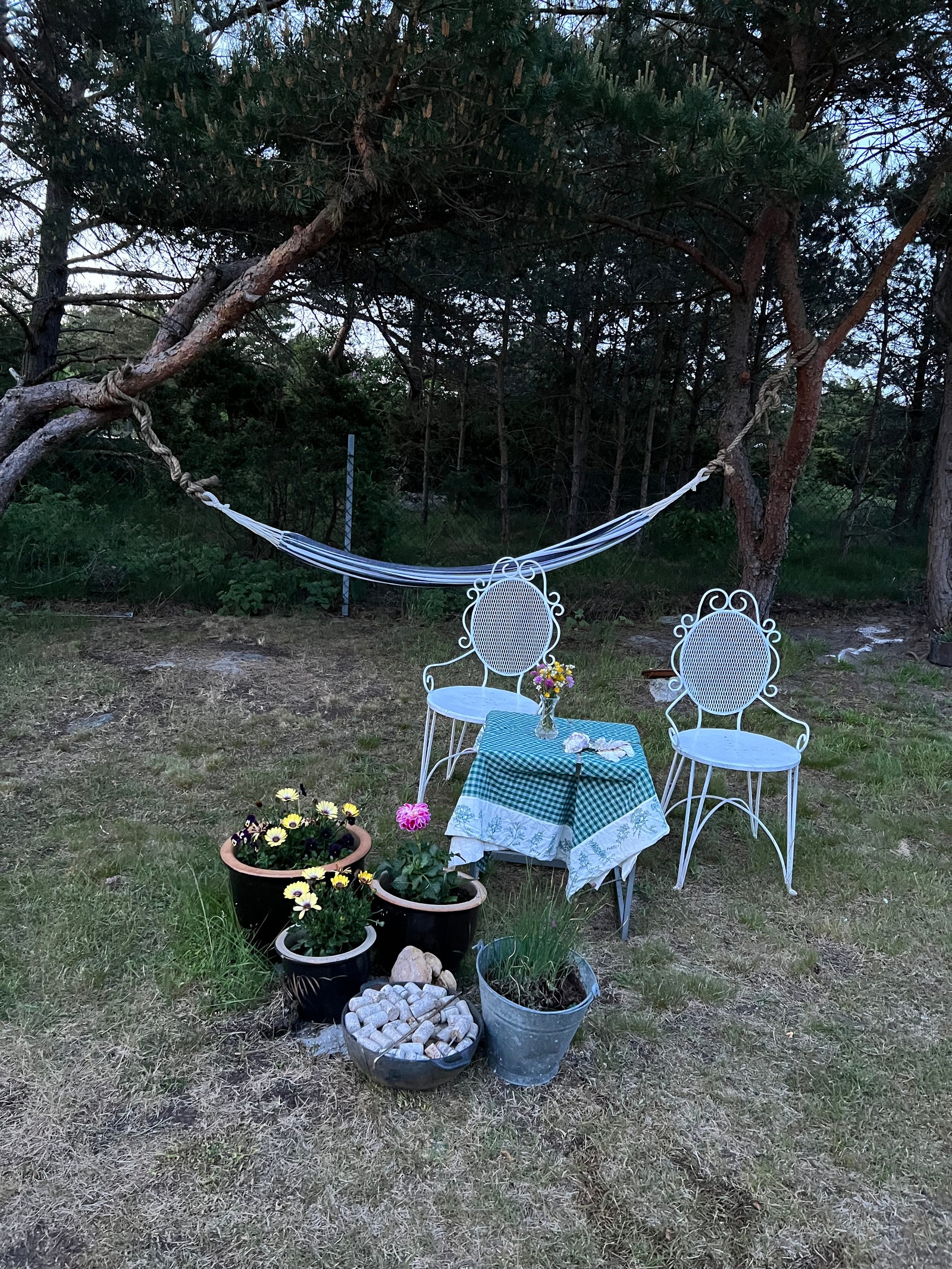 Uteområde med hengekøye Galleribilde