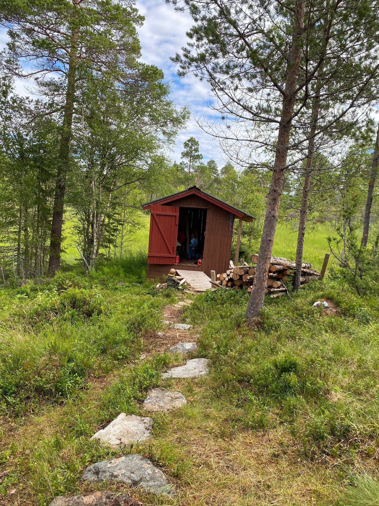 Vedbod/utedass (bilde tatt fra hytta) Galleribilde